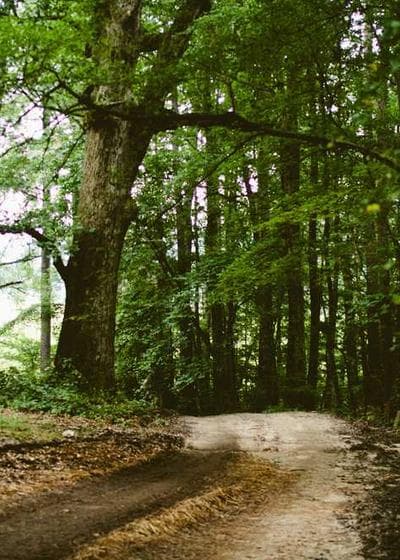 Blastoise 1st Edition