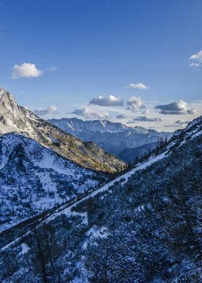 Joe Burrow NFL Shield