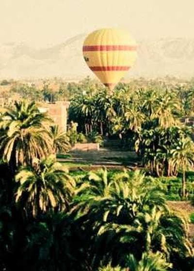 Charizard Collector Card