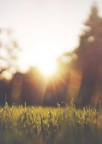 Sidney Crosby The Cup RPA