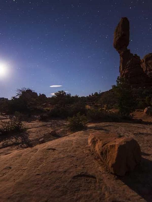 Modern Wooden Desk Lamp
