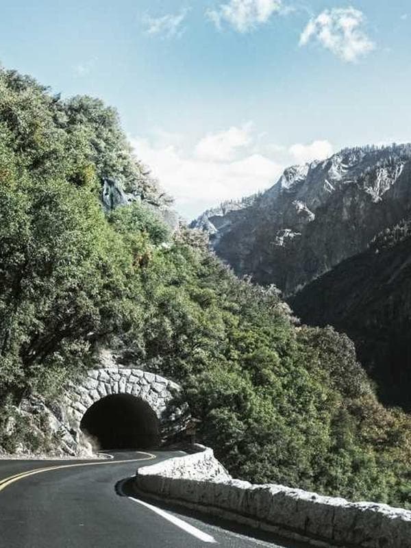 Signed First Edition Book