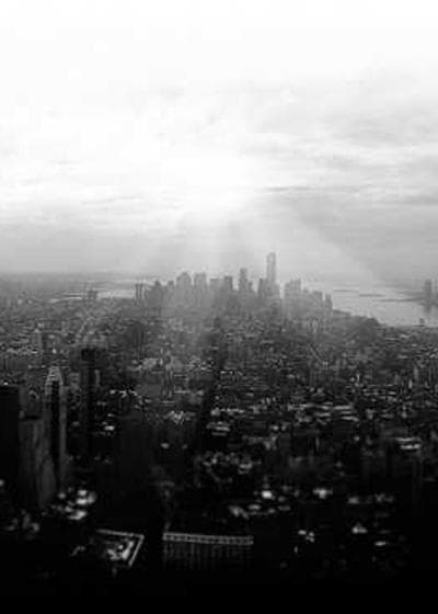 Justin Herbert Shield Auto