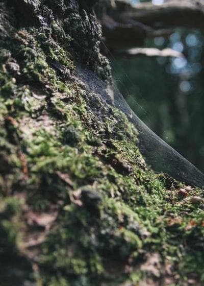 Justin Jefferson Kaboom!