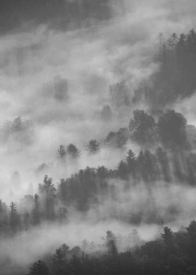 Michael Jordan Rookie Card