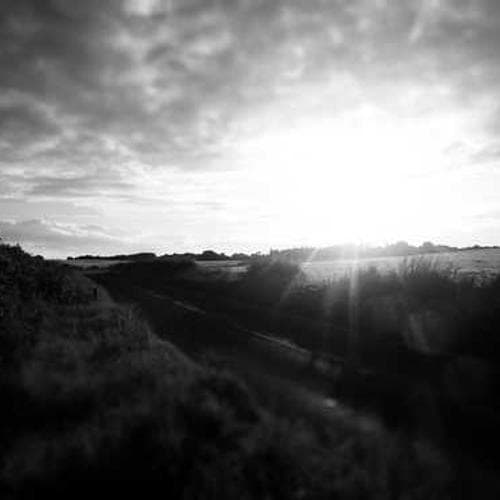 Australian Kangaroo Gold Coin