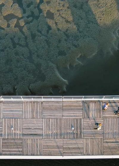 Trevor Lawrence Downtown