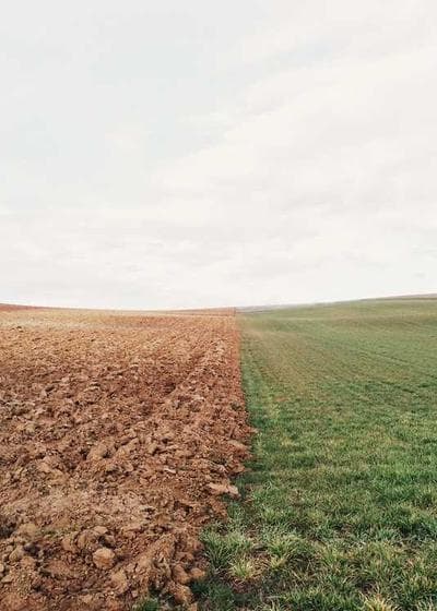 Lugia 1st Edition Neo Genesis