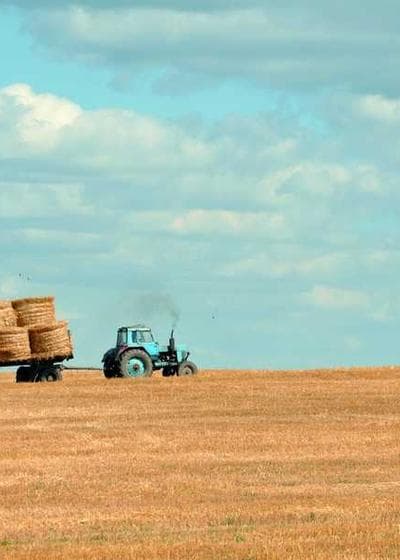 Connor McDavid Young Guns