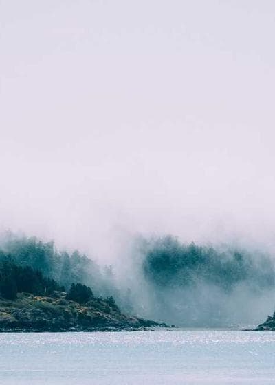 Jayson Tatum Color Blast