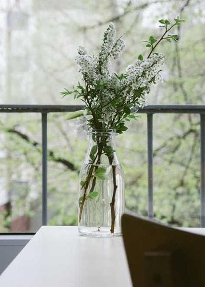 Mike Trout Prospect Auto