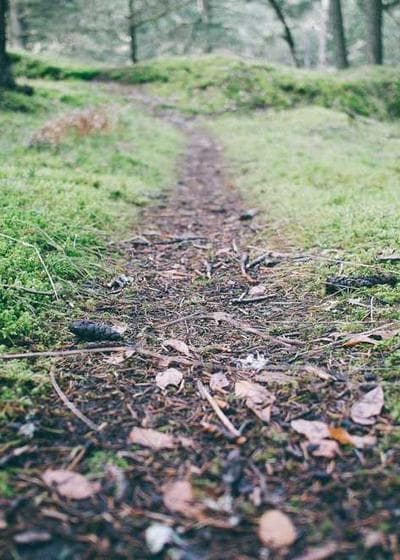 Tyranitar 1st Edition Neo