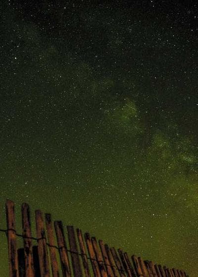 Underground Sea - MTG Alpha