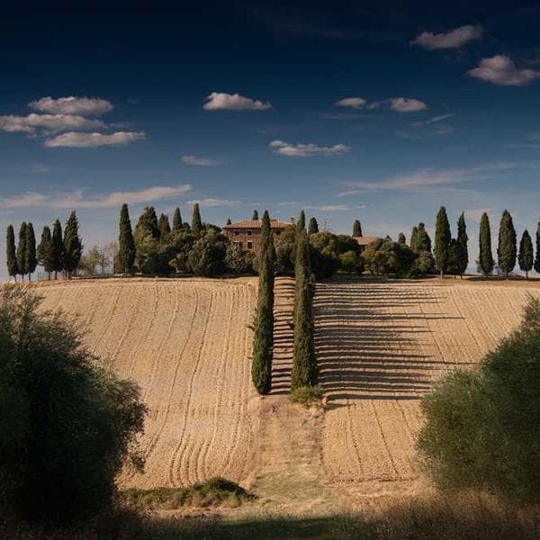 Minimalist Wall Clock