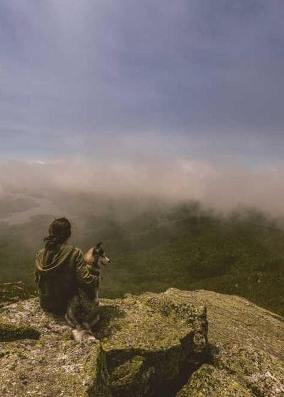 Zion Williamson Nebula